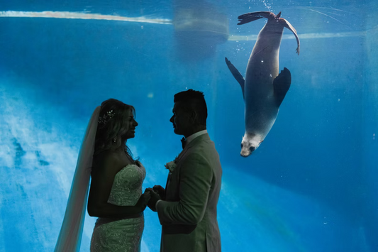 Double Happiness Photo & Video