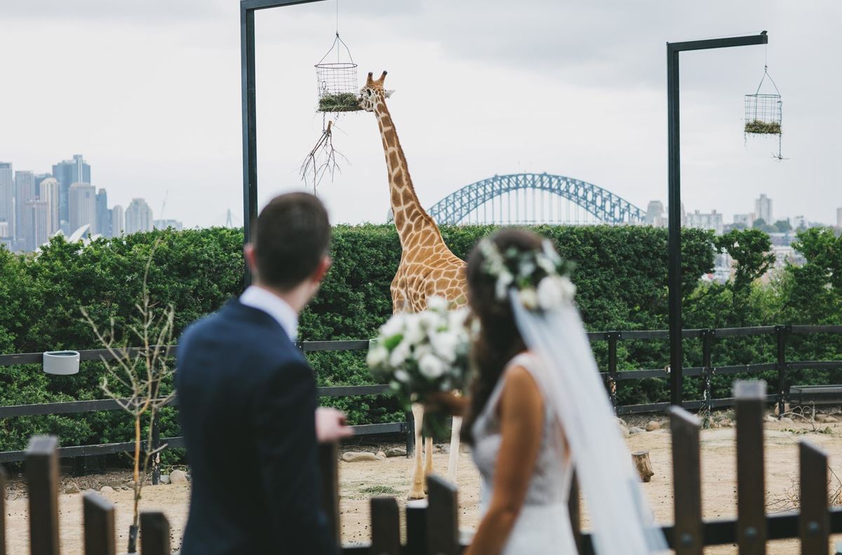 Epicure at Taronga Zoo