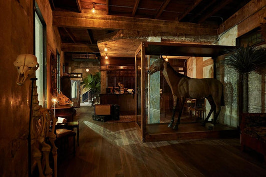 One Night in Bangkok: The Haunting Charm of The Mustang Blu