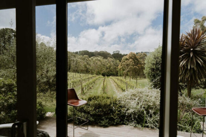 Polperro Wines