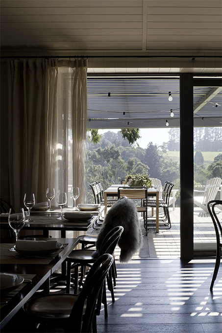 Polperro Wines