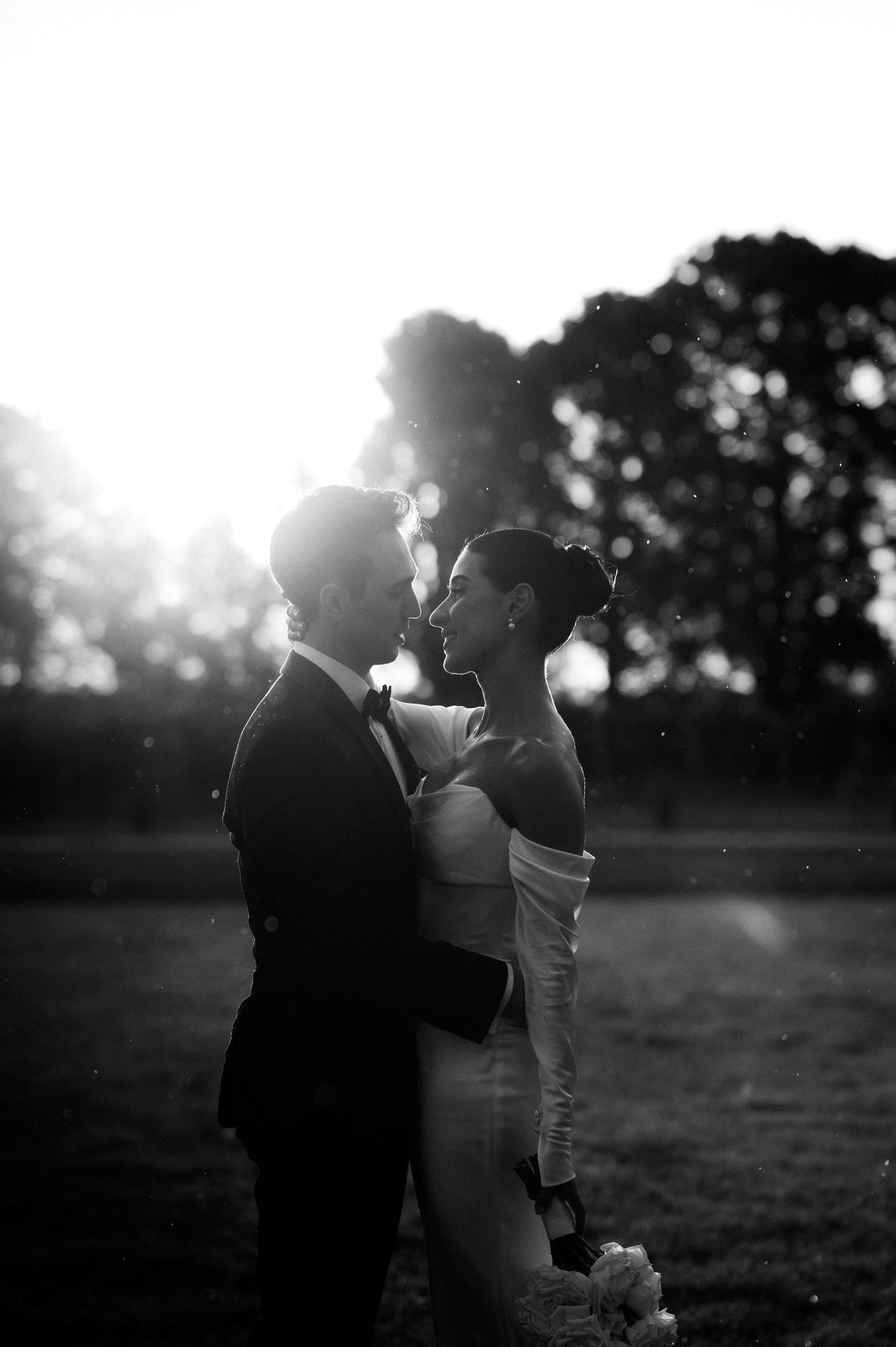 Immerse Photography